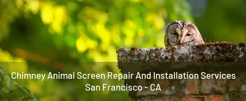 Chimney Animal Screen Repair And Installation Services San Francisco - CA