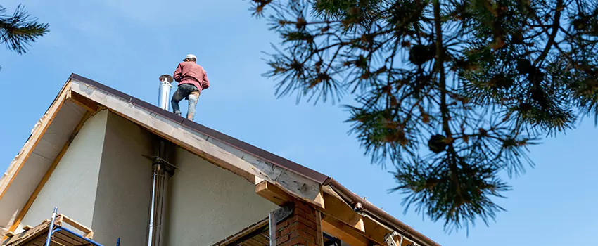 Birds Removal Contractors from Chimney in San Francisco, CA